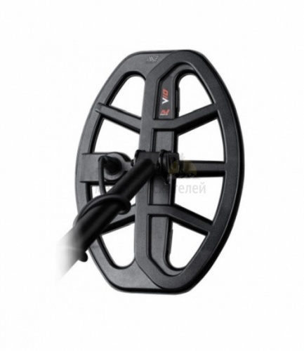  Vanquish  Minelab 10" DD  Vanquish