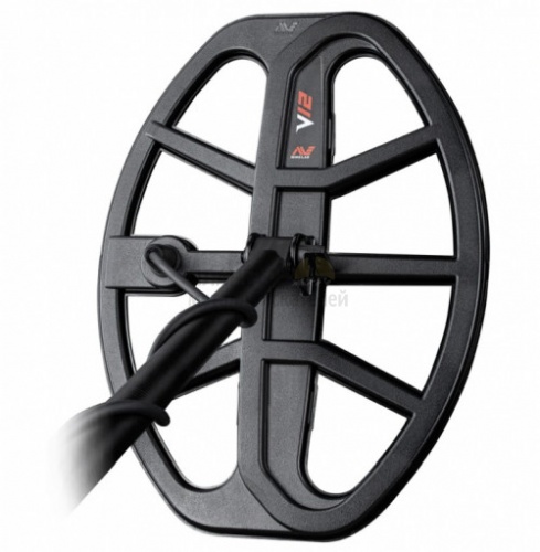  Vanquish  Minelab 12" DD  Vanquish
