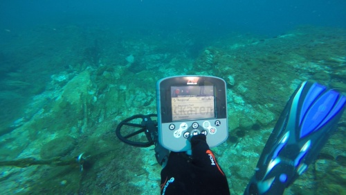    minelab ctx 3030  6