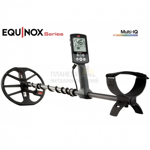    minelab equinox 800